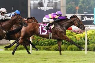 Countofmontecristo leads home a trifecta of Karaka graduates in the Jumbo Jet Trophy. Photo: Singapore Turf Club